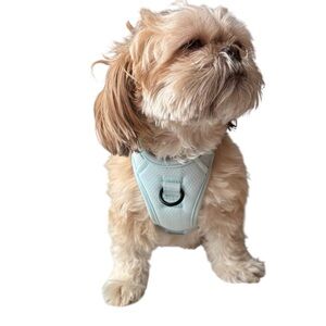 BNWT pet Harness small cat dog harness light blue cloud buckles adjustable -XXS